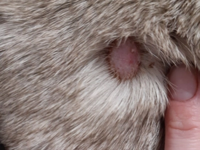 Resized_20200306_131743