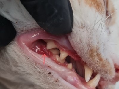 Wrzodziejąco-rozrostowa zmiana